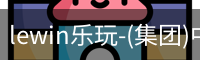 LEWIN乐玩